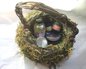 Fern Basket